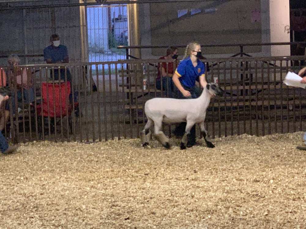 Bixby FFA: Tulsa County Free Livestock Show