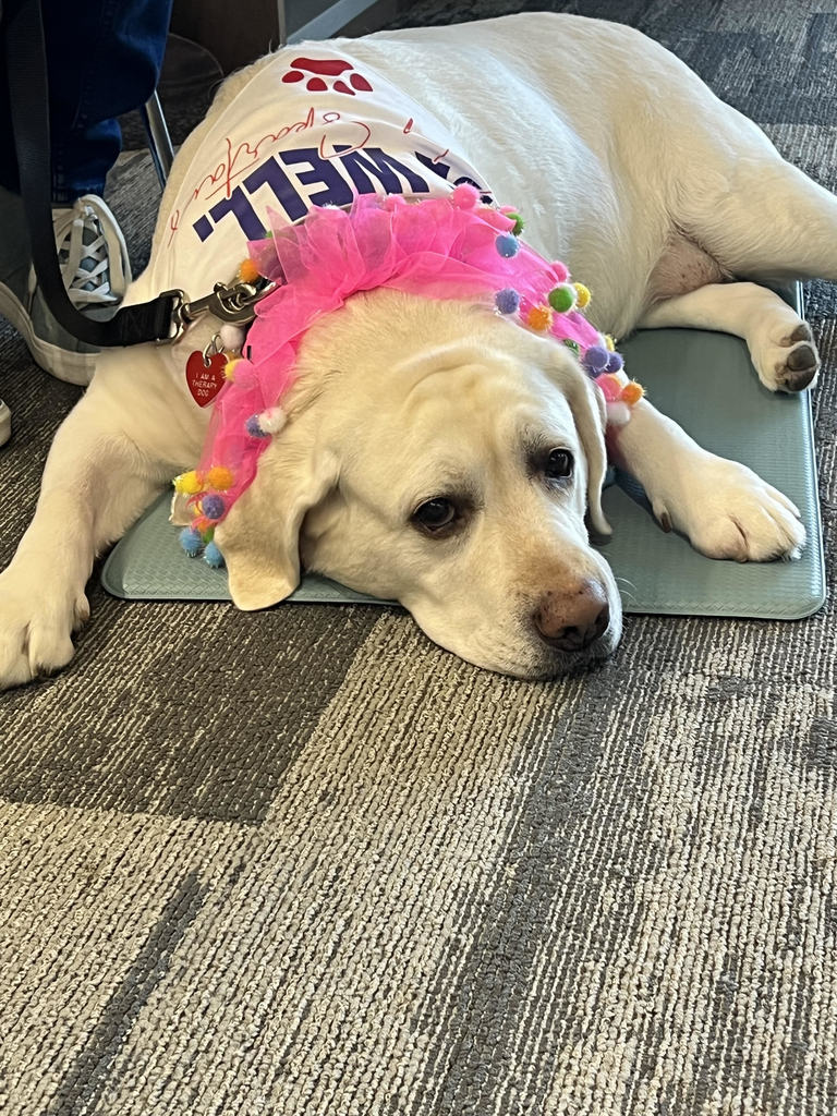 Dog 2